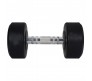 Bouncer Body King Rubber Dumbells 20 Kg x 1 Pair